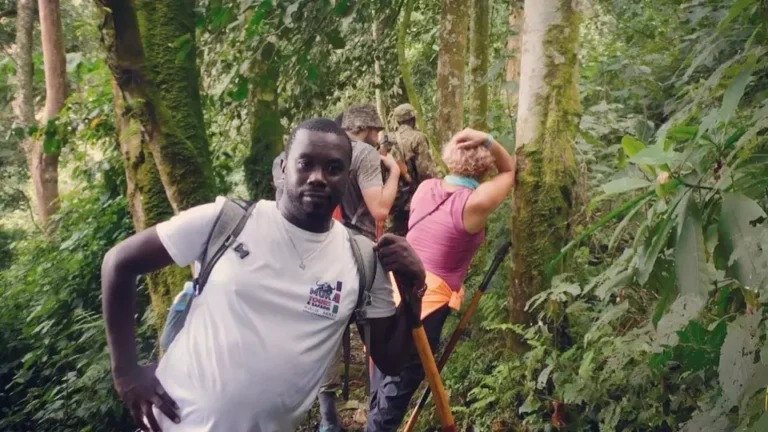Uganda gorilla safaris