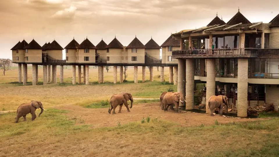 5 Days Safari From Mombasa Airport To Tsavo West ,Amboseli, Taita Salt Lick, Tsavo East To Mombasa or Diani