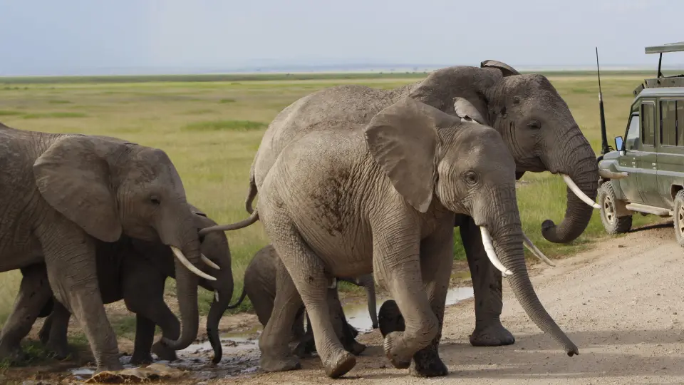 6 Days-Mount Kenya, Old Moses Camp, Nanyuki, Shipton Camp, Amboseli and Tsavo West