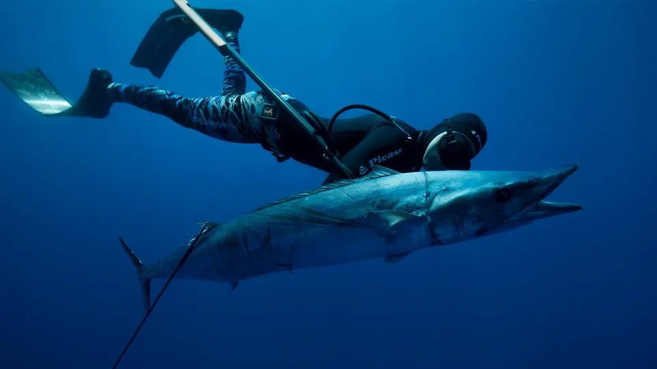 Experience deep sea fishing with Mavusho Safari's fishing experience.