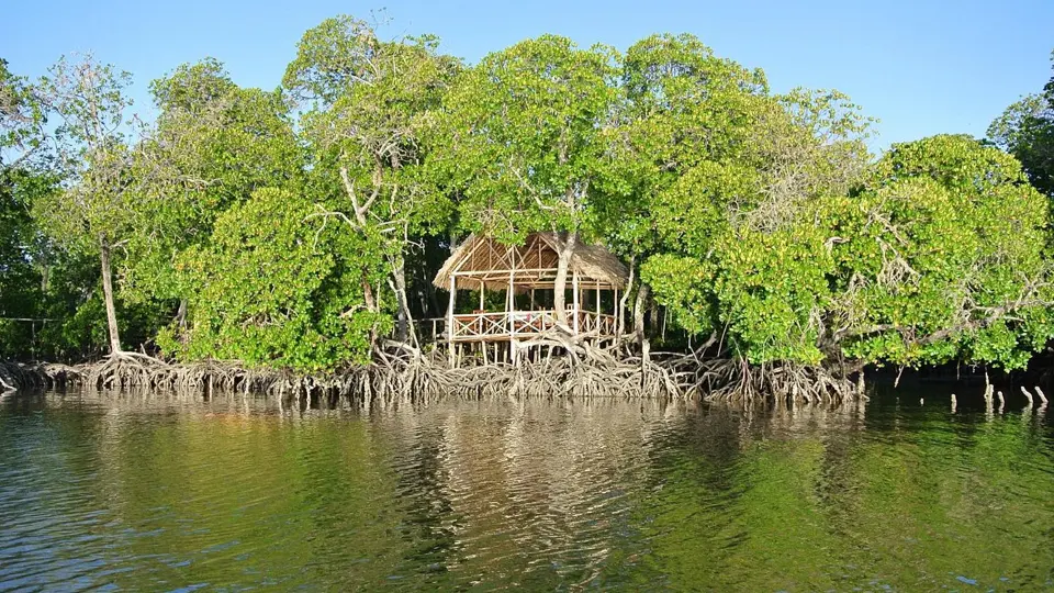 mida creek