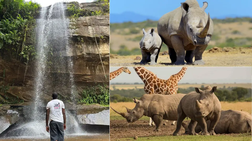 old pejeta conservancy