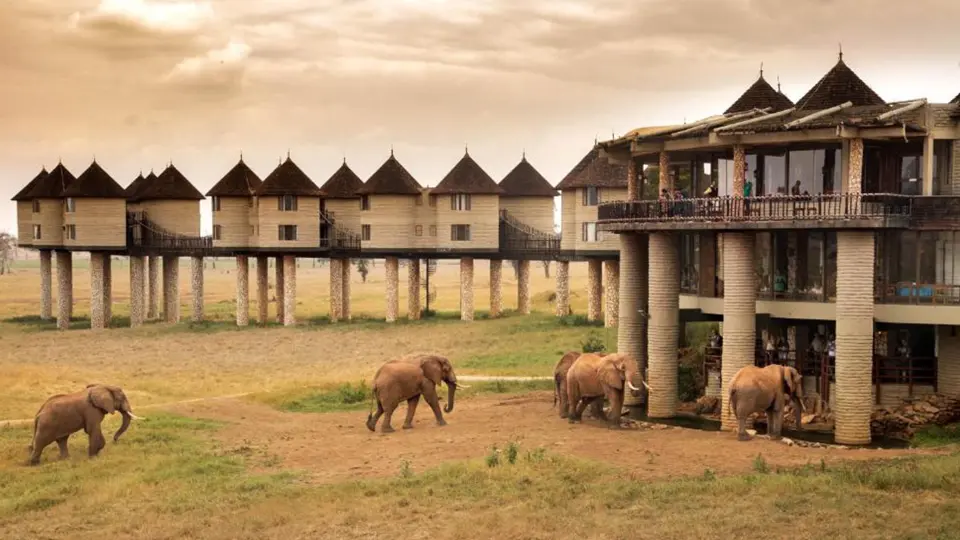 5 days Safari from Mombasa Airport to Tsavo West, Amboseli, Taita Salt Lick, Tsavo East to Mombasa/Diani